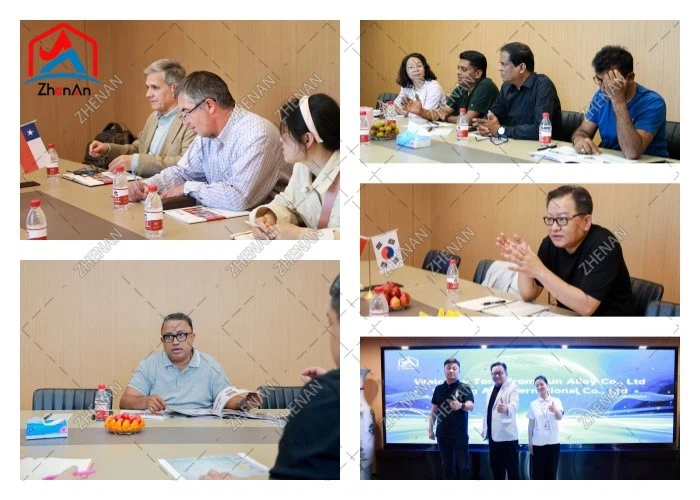 International Clients Visiting ZhenAn to Explore EMM Flakes Applications in Alloy Production International Clients Visiting ZhenAn to Explore EMM Flakes Applications in Alloy Production