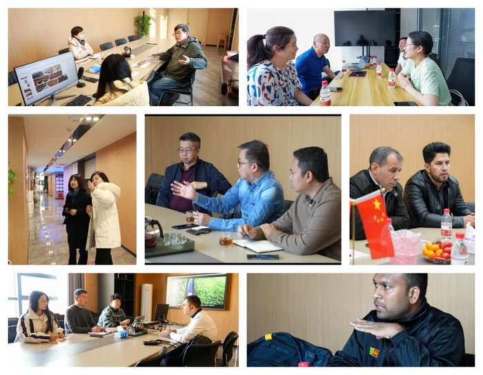 Green Silicon Carbide Powder Green Silicon Carbide Powder